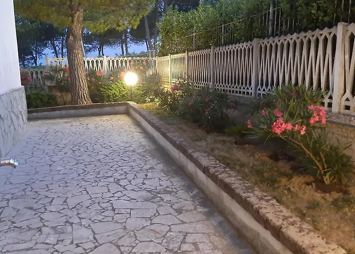 Patrizia\'S Maison